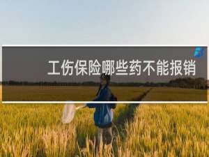 工伤保险哪些药不能报销