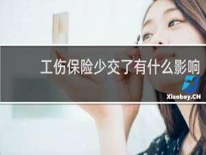 工伤保险少交了有什么影响