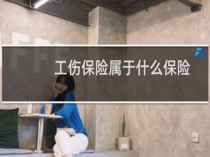 工伤保险属于什么保险