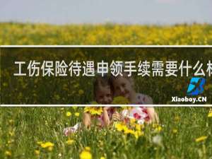 工伤保险待遇申领手续需要什么材料