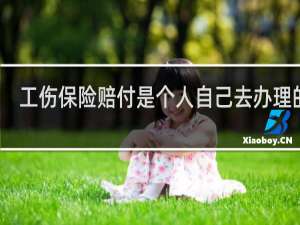 工伤保险赔付是个人自己去办理的吗
