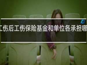 工伤后工伤保险基金和单位各承担哪些赔偿