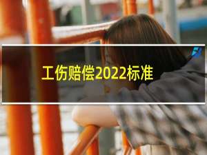 工伤赔偿2022标准（工伤怎么赔偿）