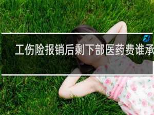 工伤险报销后剩下部医药费谁承担