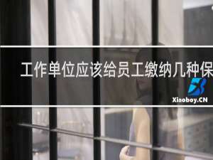 工作单位应该给员工缴纳几种保险