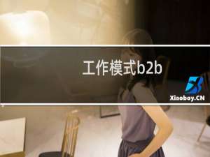 工作模式b2b