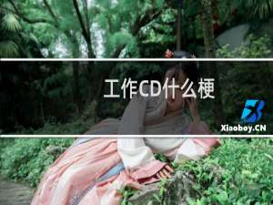 工作CD什么梗