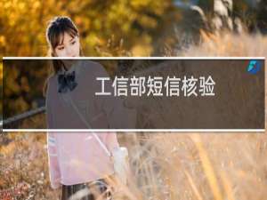 工信部短信核验,手机收不到短信，事情！