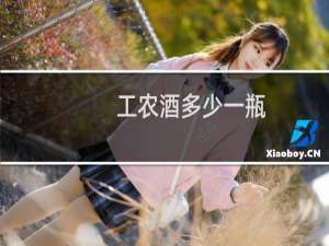 工农酒多少一瓶