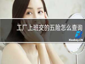 工厂上班交的五险怎么查询