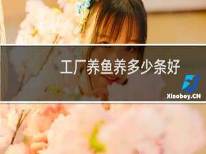 工厂养鱼养多少条好