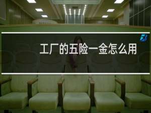 工厂的五险一金怎么用