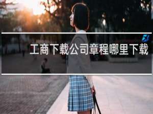 工商下载公司章程哪里下载