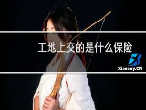 工地上交的是什么保险