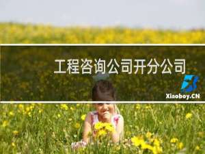 工程咨询公司开分公司