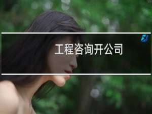 工程咨询开公司