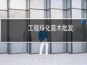 工程绿化苗木批发