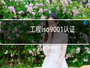 工程iso9001认证好过吗