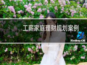 工薪家庭理财规划案例