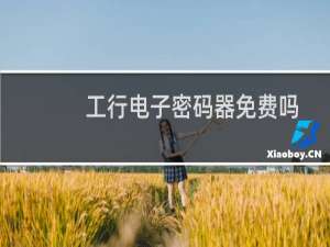 工行电子密码器免费吗