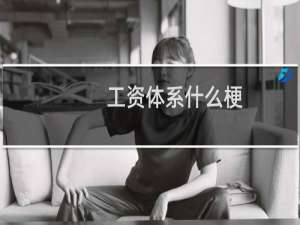 工资体系什么梗