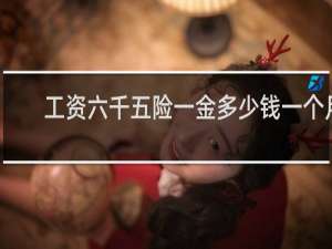 工资六千五险一金多少钱一个月