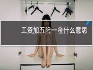 工资加五险一金什么意思
