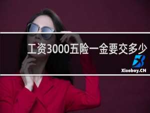 工资3000五险一金要交多少