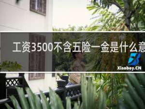 工资3500不含五险一金是什么意思