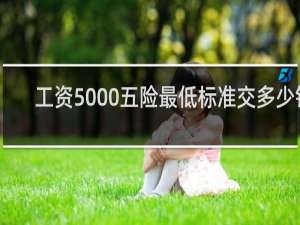 工资5000五险最低标准交多少钱