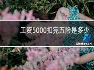 工资5000扣完五险是多少