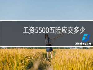 工资5500五险应交多少