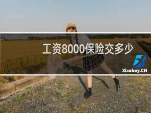 工资8000保险交多少
