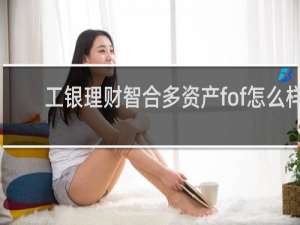 工银理财智合多资产fof怎么样