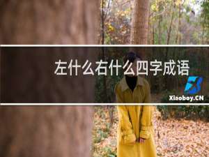 左什么右什么四字成语