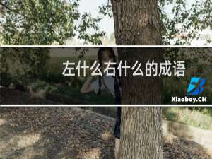 左什么右什么的成语