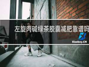 左旋肉碱绿茶胶囊减肥靠谱吗