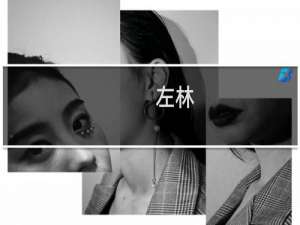 左林