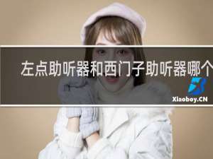 左点助听器和西门子助听器哪个好