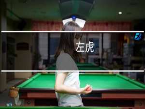 左虎 knight为什么叫左虎什么梗