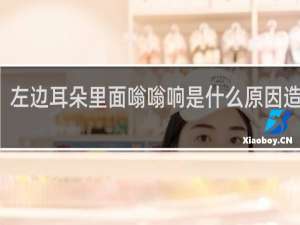 左边耳朵里面嗡嗡响是什么原因造成的