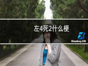 左4死2什么梗