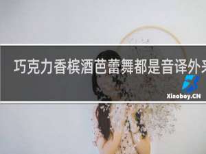 巧克力香槟酒芭蕾舞都是音译外来词