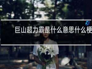 巨山超力霸是什么意思什么梗