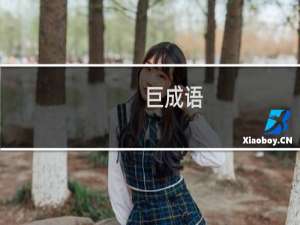 巨成语
