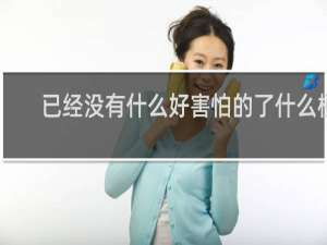 已经没有什么好害怕的了什么梗