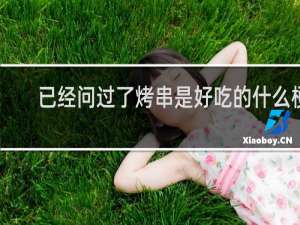 已经问过了烤串是好吃的什么梗