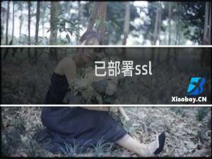 已部署ssl，提示将您重定向的次数过多？