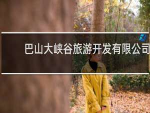巴山大峡谷旅游开发有限公司