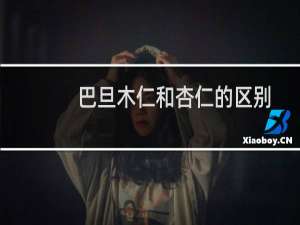 巴旦木仁和杏仁的区别（巴旦木和杏仁的区别）